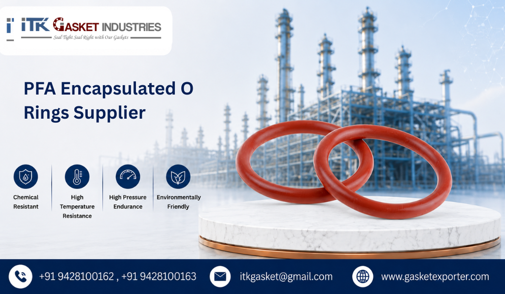 PFA Encapsulated O Rings Supplier