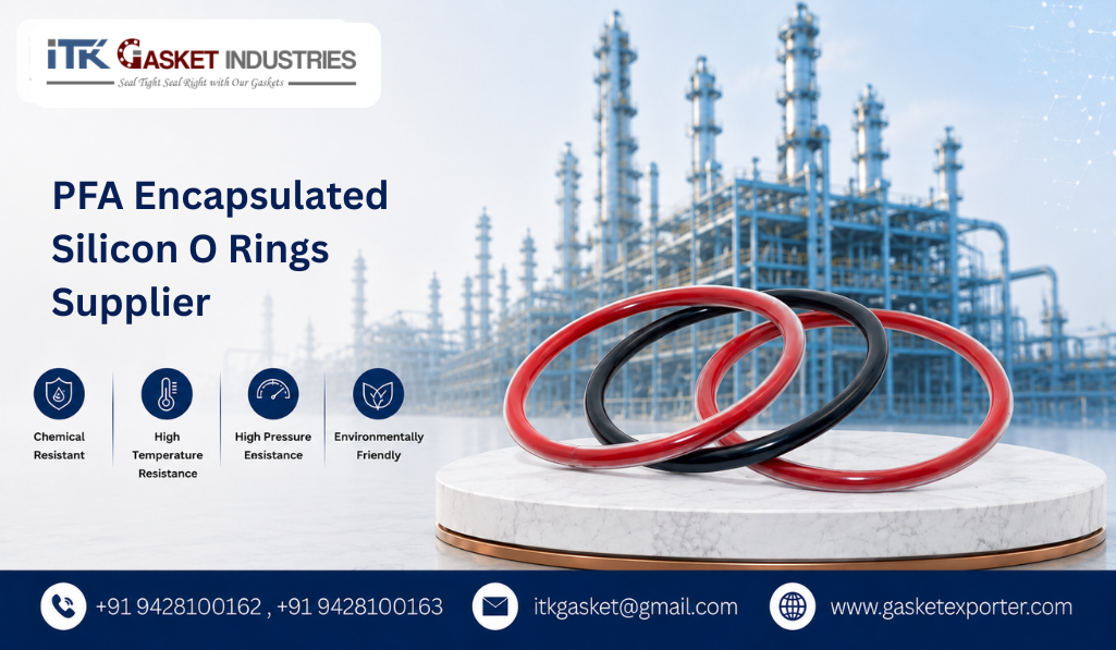 PFA Encapsulated Silicon O Rings Supplier